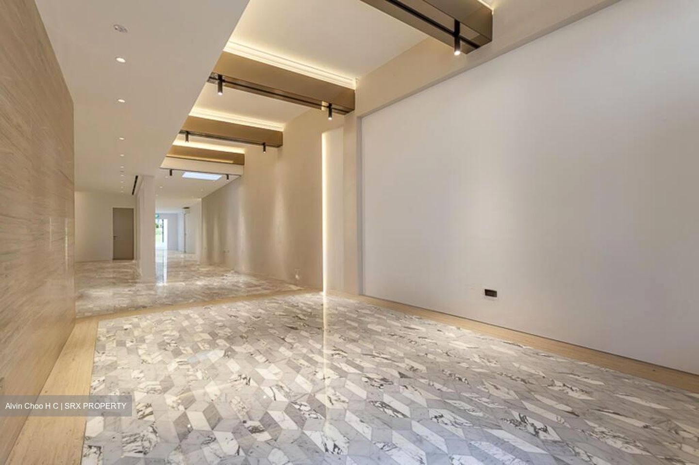 Sago Lane (D1), Shop House #501145521